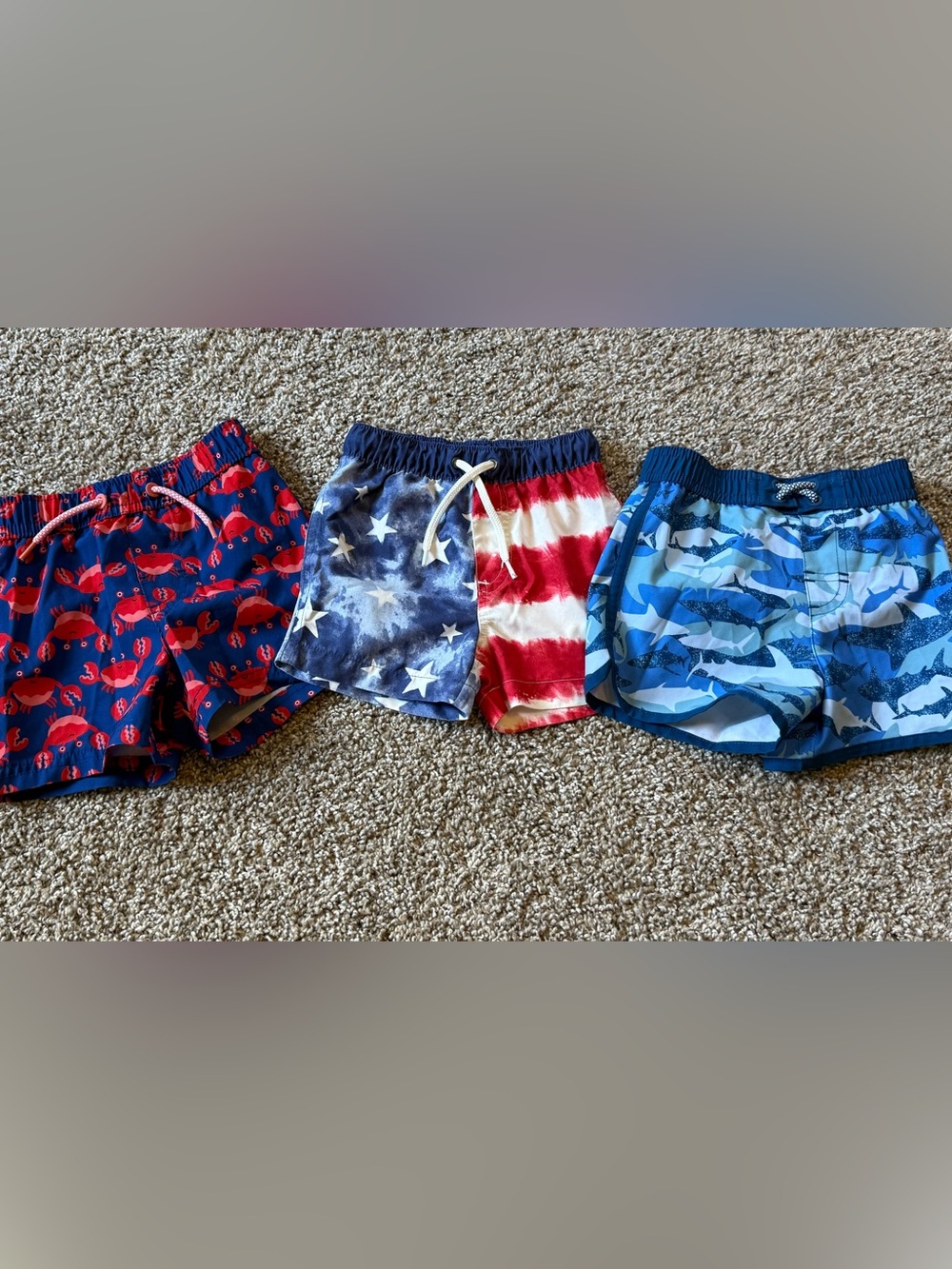 Oshkosh & Wonder Nation Swim